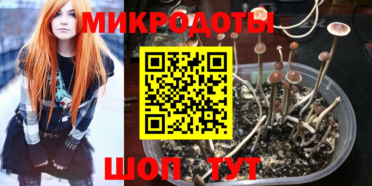 Электрогорск  Галлюциногенные грибы мухоморы  Вход с VPN 